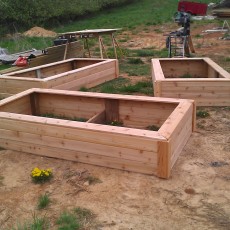 Plant Beds